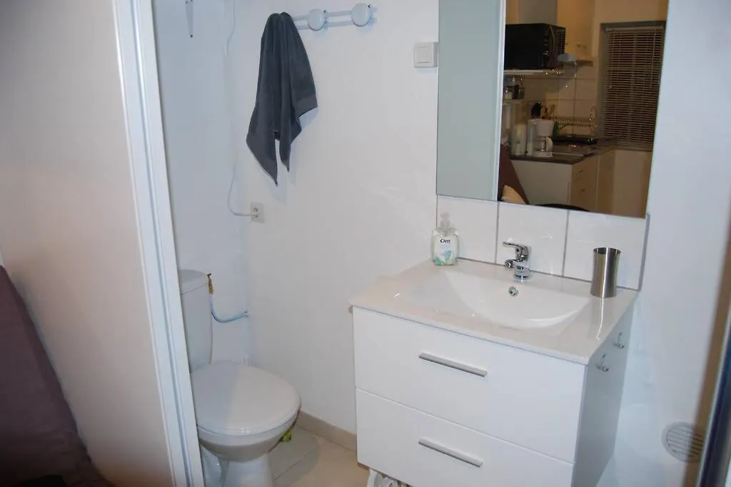 L'Atelier A 100 M De Tarbes Sud Villa Laloubere 0*,